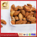 Hot Sale Health Nutrition Nut Almonds